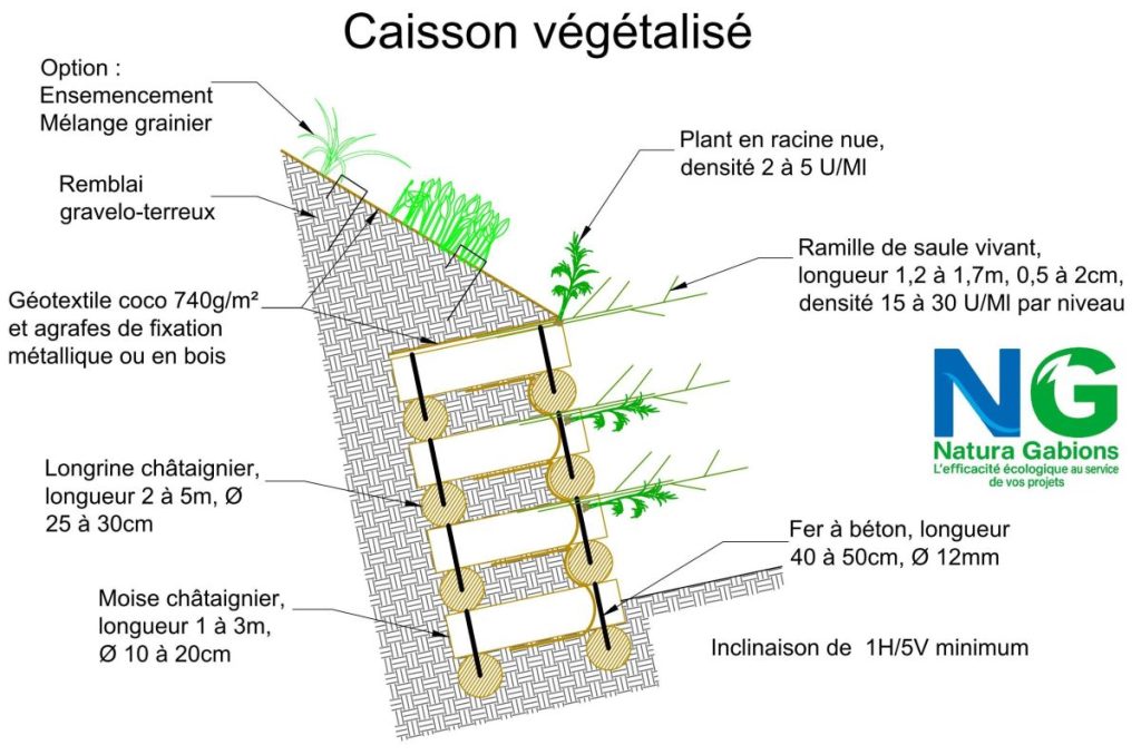 Coupe type Caisson végétalisé
