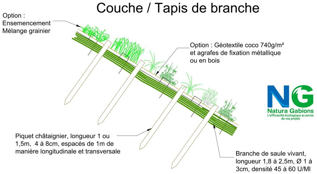 Coupe type Couche Tapis de branche Natura Gabions