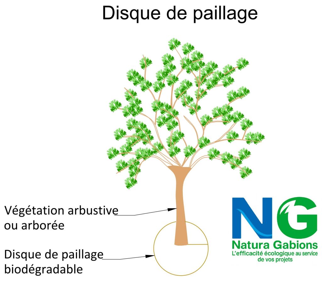 Coupe type Disque de paillage