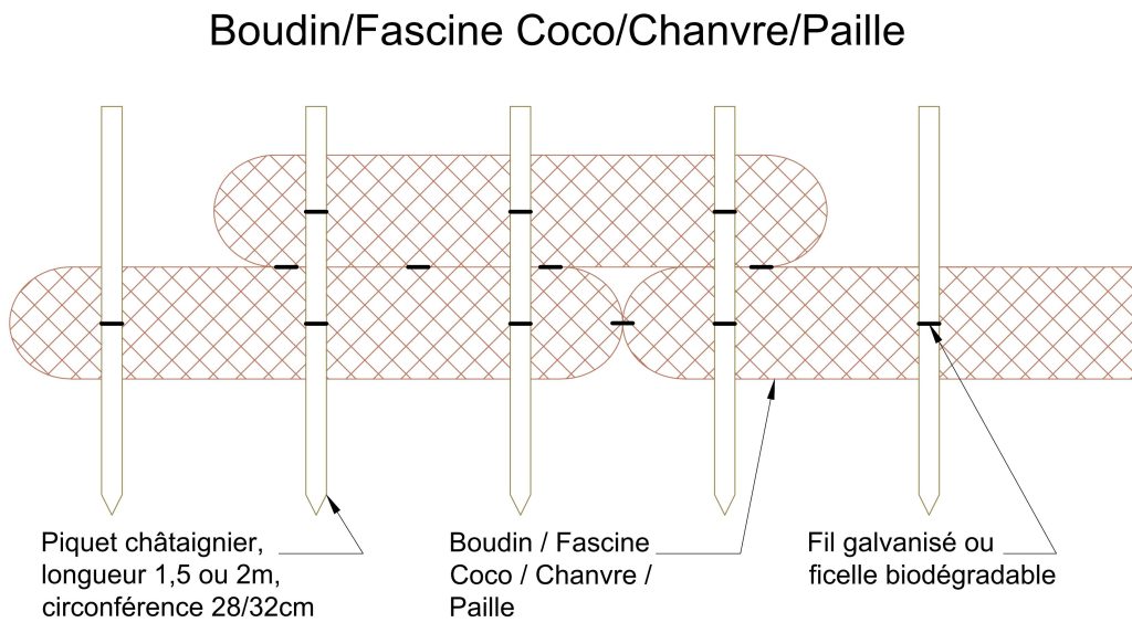 Coupe type Boudin Fascine coco