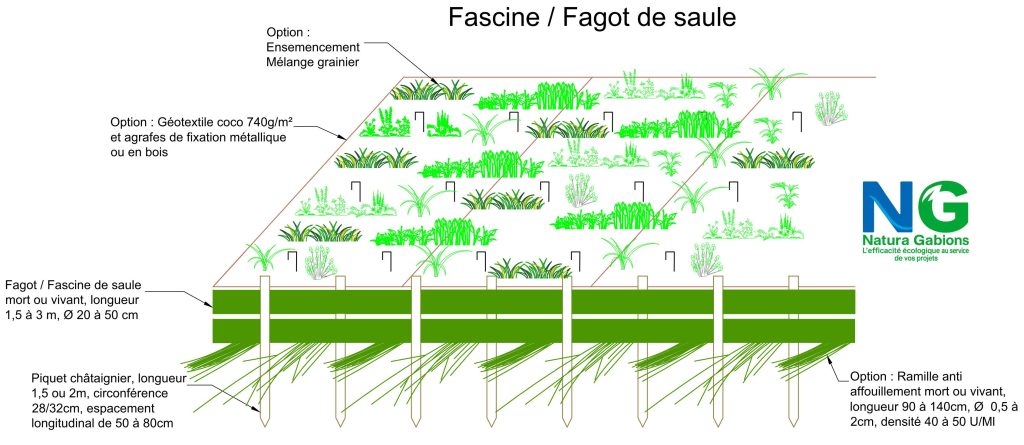 Coupe type Fascine Fagot de saule Natura Gabions