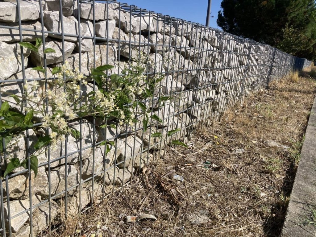 Mur gabions électrosoudés en maille 100x50mm Natura Gabions