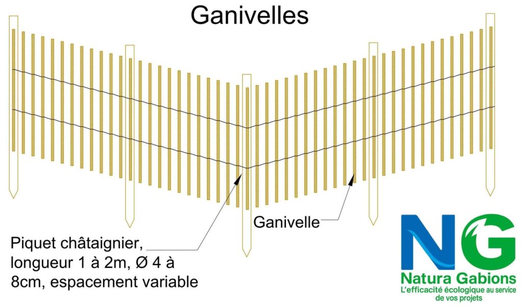 Coupe type ganivelles