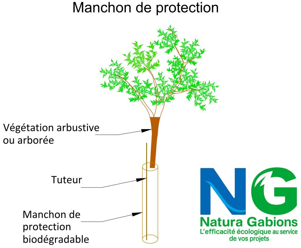 Coupe type Manchon de protection
