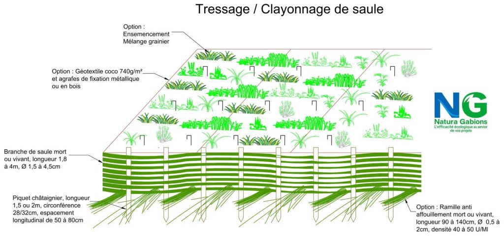 Coupe type Tressage Clayonnage de saule Natura Gabions